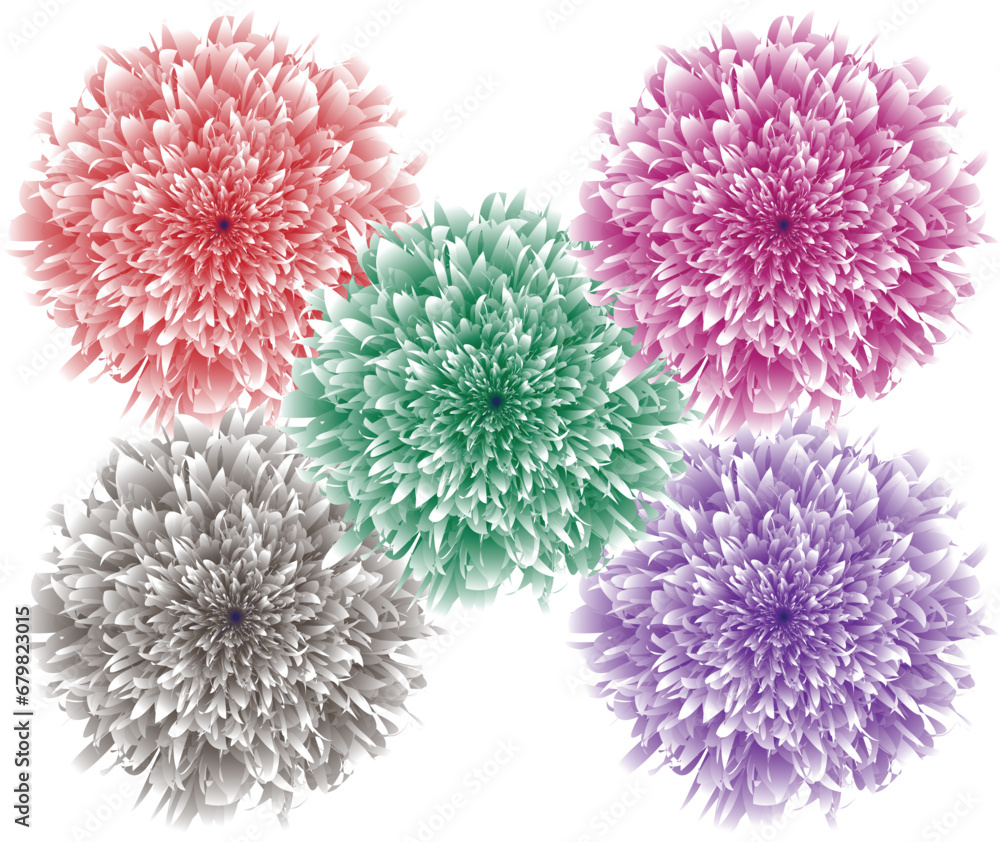 Set of Flowers Isolated Vectors on White Set of Flowers Isolated Vectors on White