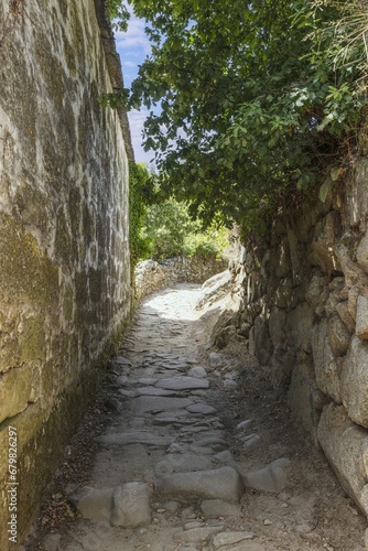 Picture along a cobbled and overgrown hollow way with natural stone walls © Aquarius