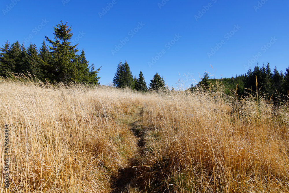 Fototapeta premium Alpine landscape in Piatra Craiului Mountains, Romania, Europe