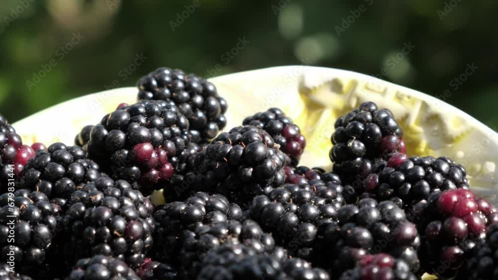 Capturing Essence of Freshness: close-up, slow-motion video showcases ripe blackberries rotating majestically, epitomizing the fresh produce ideal for culinary delights in fine-dining establishments Capturing Essence of Freshness: close-up, slow-motion video showcases ripe blackberries rotating majestically, epitomizing the fresh produce ideal for culinary delights in fine-dining establishments