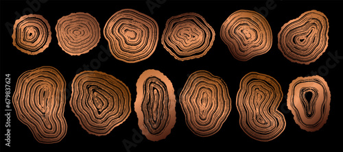 Set of wooden annual rings textures. Luxury golden tree ring patterns. Collection of tree trunk stamps in section isolated on black background. Natural wooden concentric circles