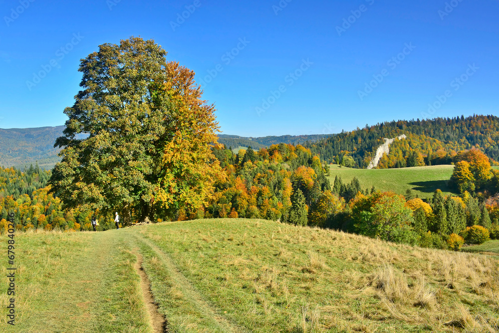 Autumn in Pieniny mountains, nice  landscape in the hills.
Landscape of Polish mountains on a warm and sunny day.