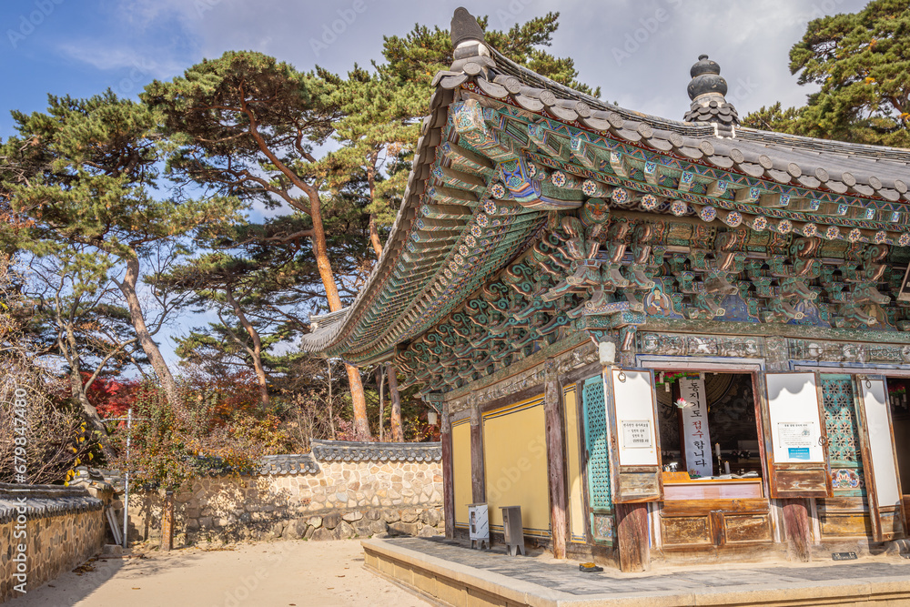 Gyeongju, South Korea - November 20 2023 Gyeongju, South Korea - November 20 2023