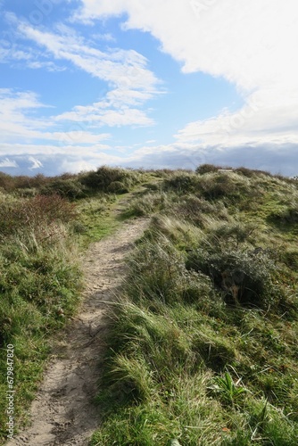 Vom Sandweg dieser Düne ist im Westen der niederländischen Nordseeinsel Schiermonnikoog dieser Dünengürtel zu sehen.
