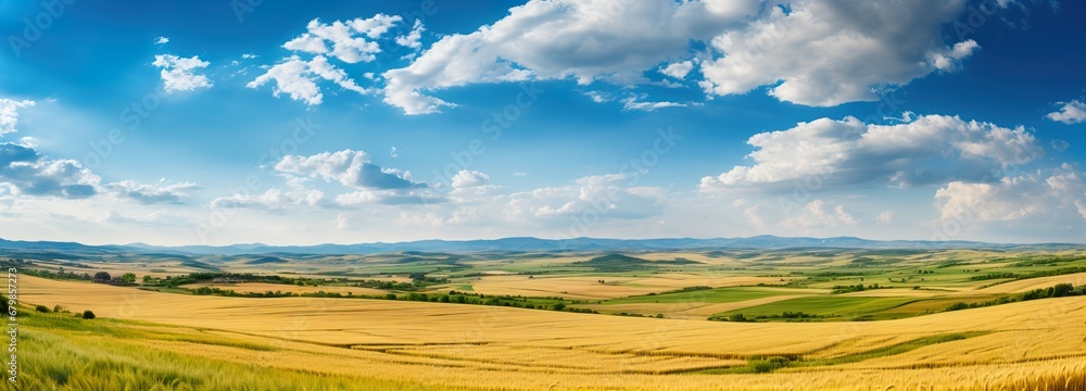 Breathtaking Panoramic View of Expansive Wheat Fields Under Blue Sky Breathtaking Panoramic View of Expansive Wheat Fields Under Blue Sky
