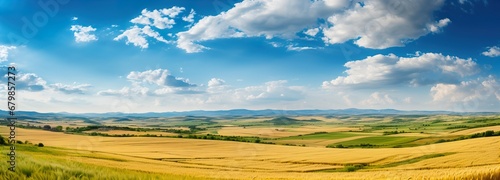Breathtaking Panoramic View of Expansive Wheat Fields Under Blue Sky