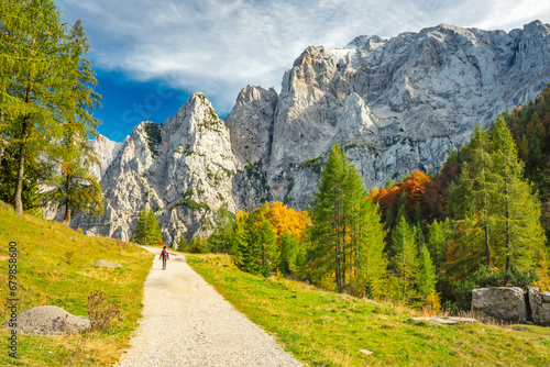 Quadro em tela Triglav