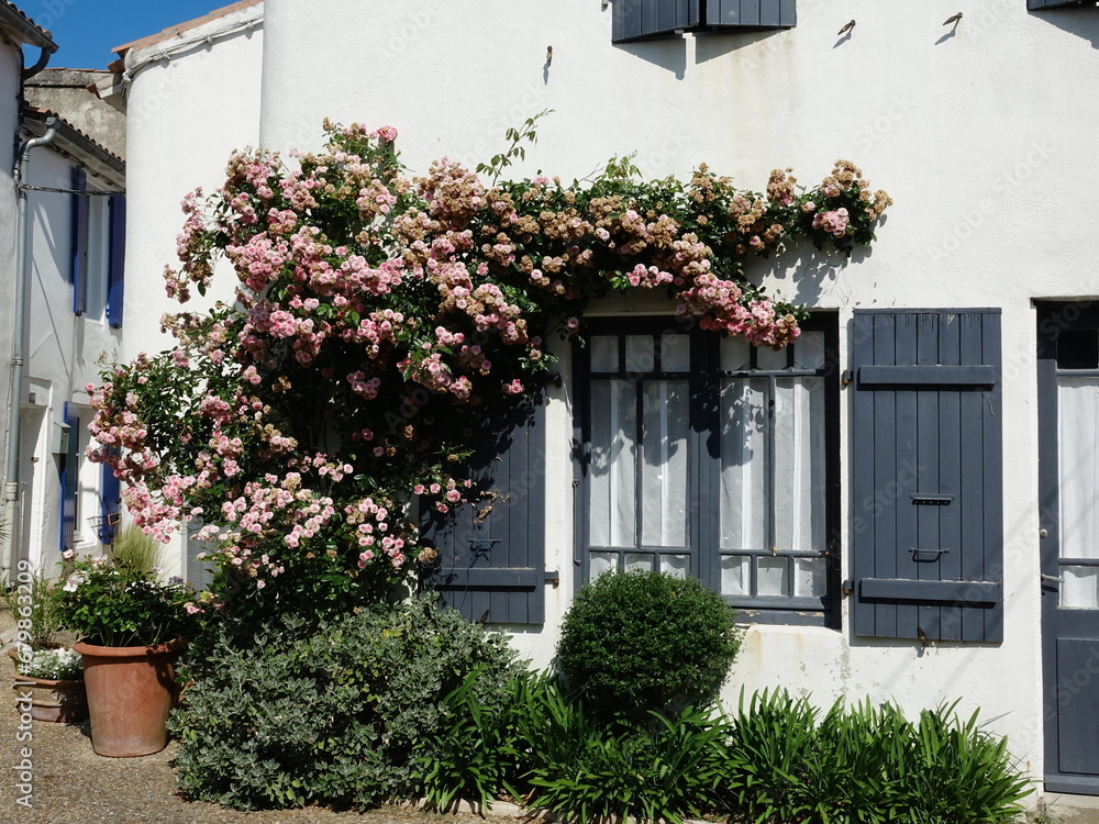 Façade fleurie d'une maison blanche à volet en bois gris
