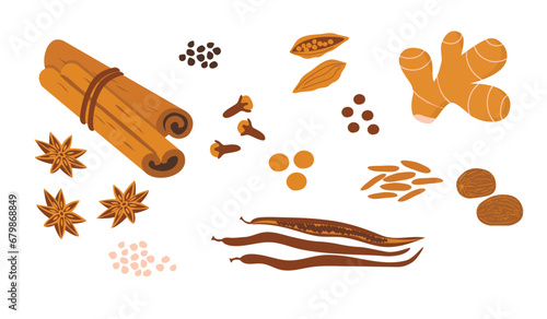 Natural spices set isolated on white. Cinnamon sticks, vanilla beans, ginger, star anise, ginger, cloves, cardamom and nutmeg.For cooking and spice stores sign.Vector flat food illustration.
 photo