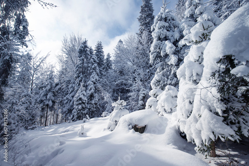 Białe drzewa, mroźny i słoneczny dzień, śnieżna zima w górach © anettastar
