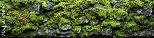 Vibrant Moss Draped Over Jagged Stone Surface