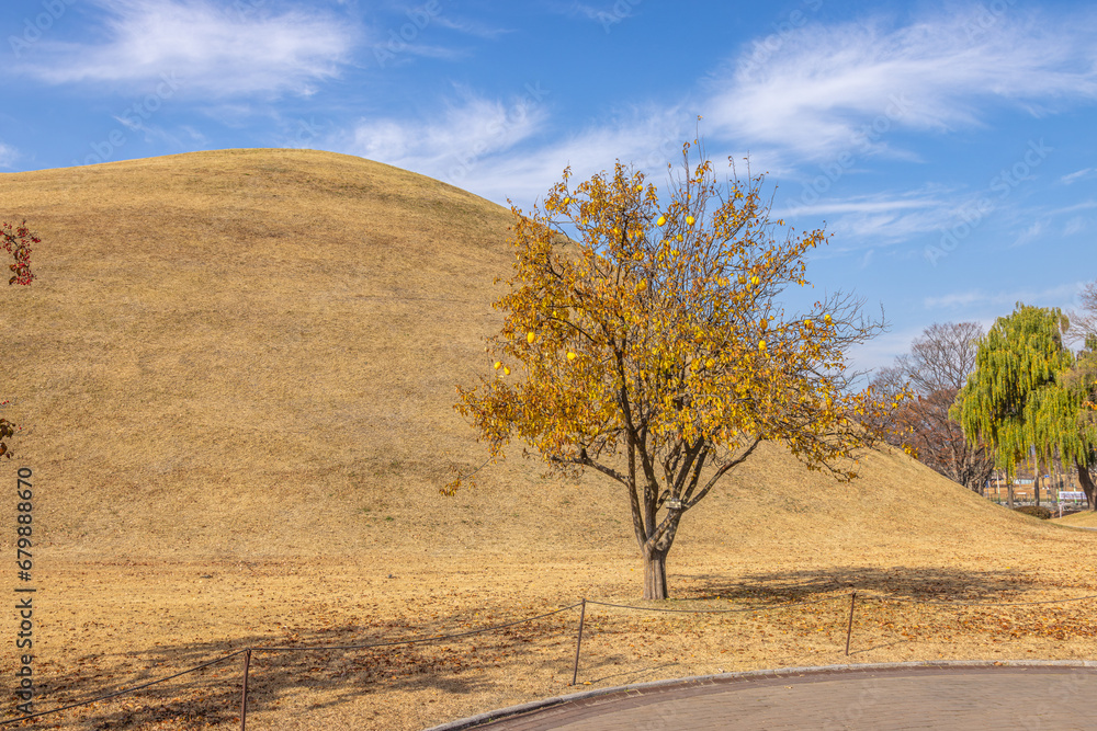 Naklejka premium Gyeongju, South Korea - November 20 2023 