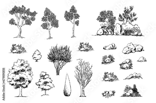 Minimal sketch style cad tree line drawing, Side view, set of graphics trees elements outline symbol for architecture and landscape design drawing. Vector illustration in stroke fill in white.