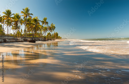 Fototapeta Naklejka Na Ścianę i Meble -  Tropical landscape with beach with coconut trees at sunset