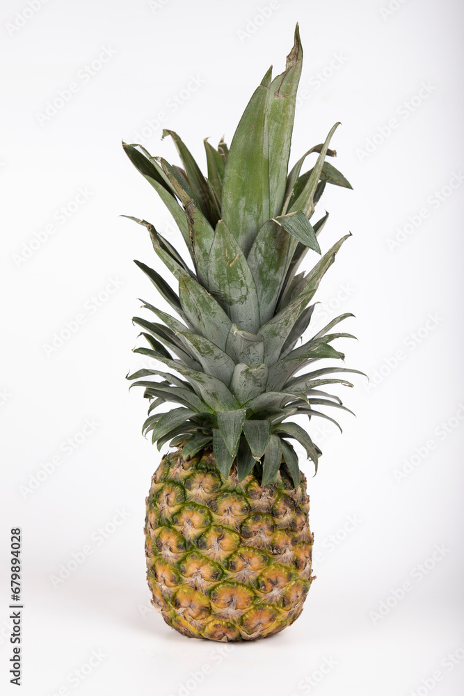 Fototapeta premium Piña