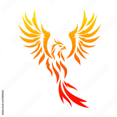 vector graphic illustration of tribal art fire phoenix tattoo © Ardi