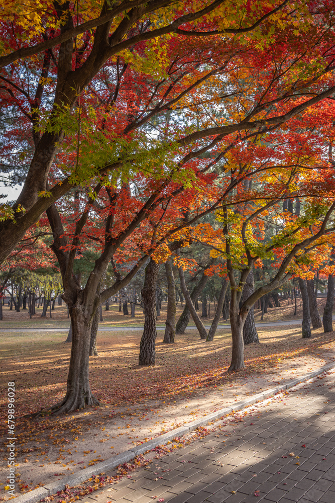 Naklejka premium Gyeongju, South Korea - November 20 2023 