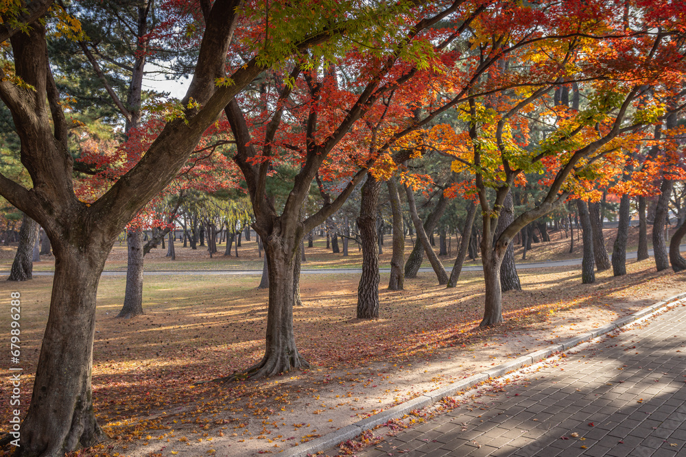 Gyeongju, South Korea - November 20 2023 Gyeongju, South Korea - November 20 2023