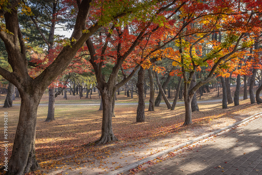 Gyeongju, South Korea - November 20 2023 