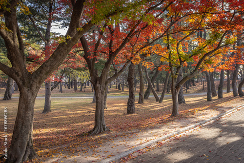 Gyeongju, South Korea - November 20 2023 "Daereungwon Tomb Complex"