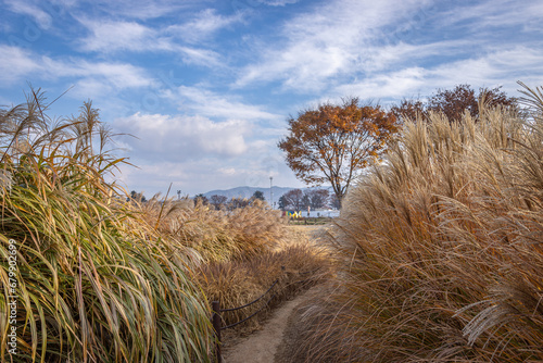 Gyeongju, South Korea - November 20 2023 