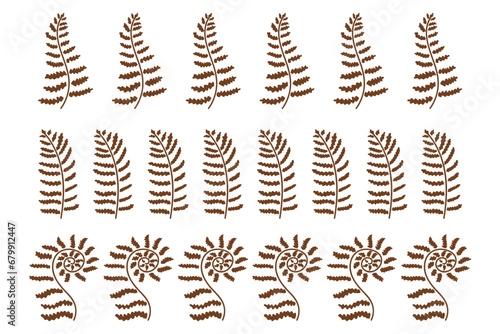Set of decorative borders made of fern leaves. Elements for your design. Vector illustration isolated on white background.