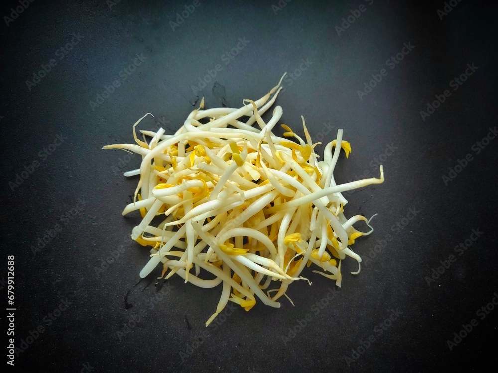 bean sprouts on the ground