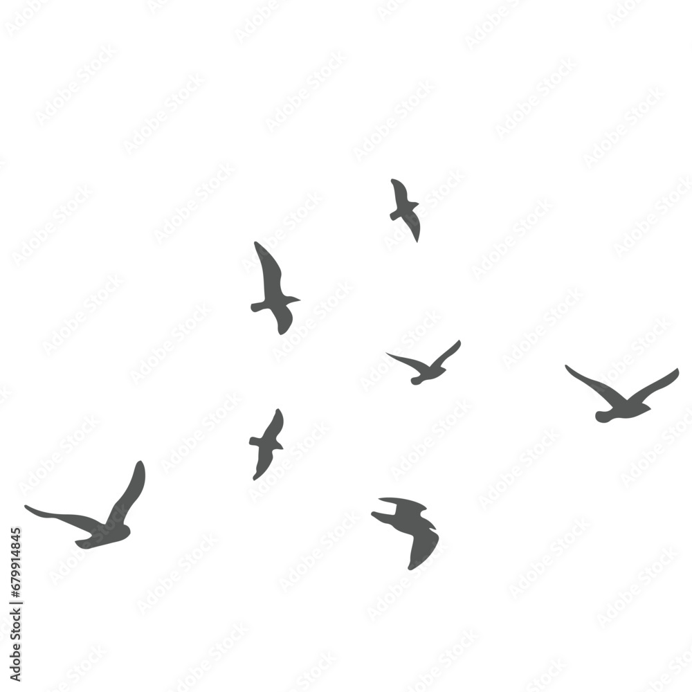 silhouettes of birds silhouettes of birds