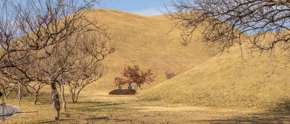 Obraz premium Gyeongju, South Korea - November 20 2023