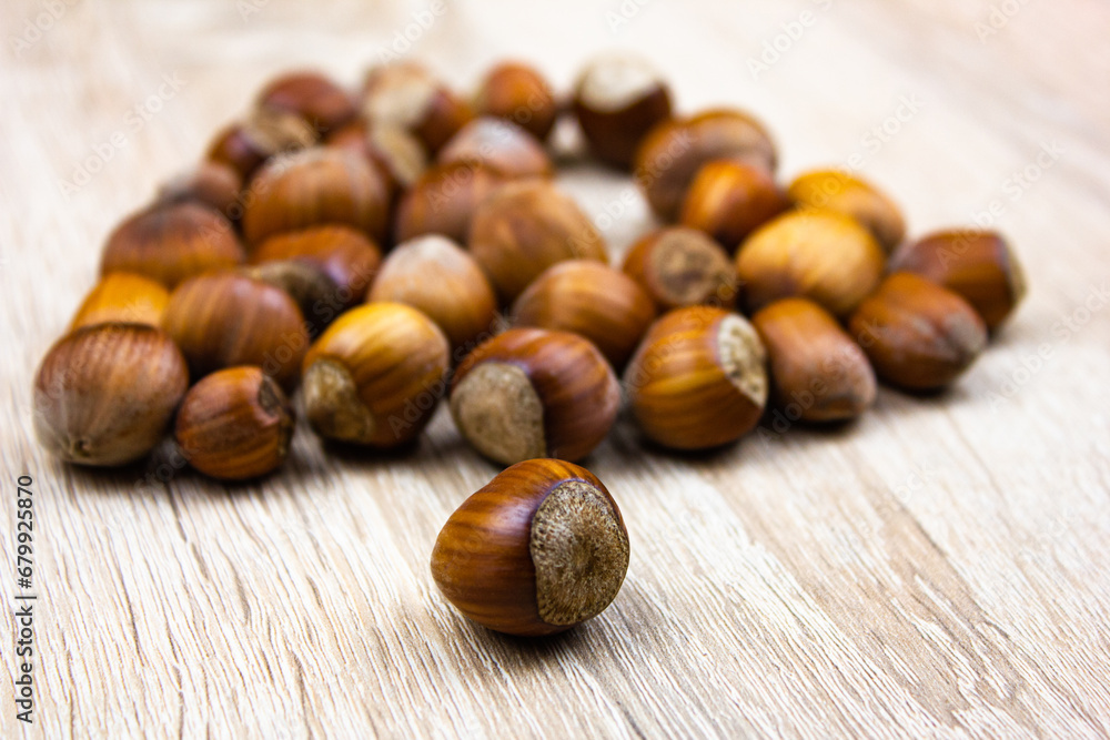 Hazelnut nut. Natural hazelnut in shell on the table. Hazelnut nut. Natural hazelnut in shell on the table.