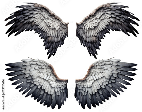 3D render of fantasy angel wings ,isolation white background