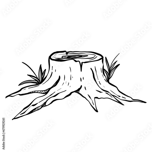 rotten stump hand drawn
