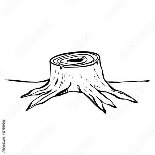 rotten stump hand drawn
