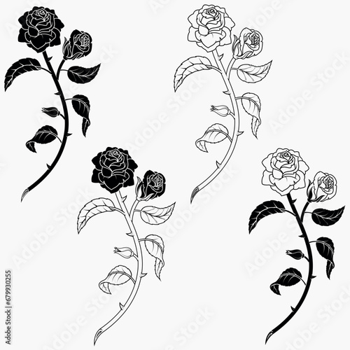 bouquet of roses with leaves and petals