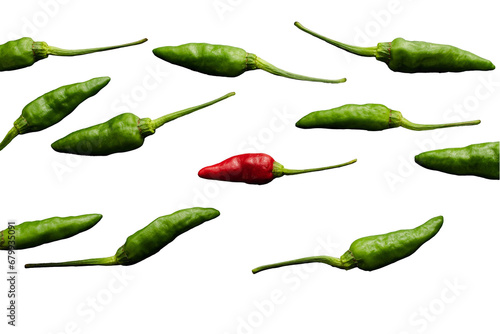 green chili pepper isolated on transparent background. PNG format