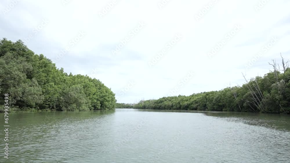 Exploring the Serene River Path Through Mangrove Forests in Kalimantan Exploring the Serene River Path Through Mangrove Forests in Kalimantan
