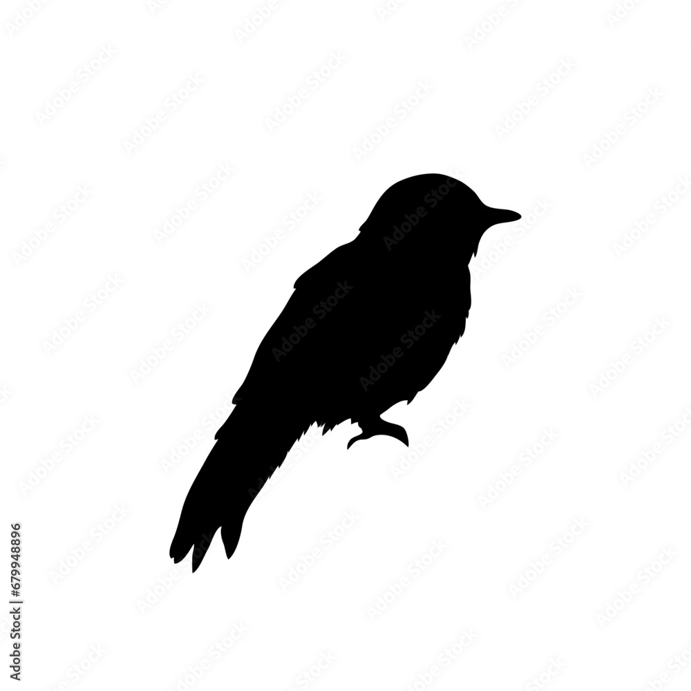Bird silhouette vector Bird silhouette vector