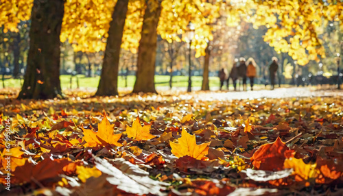 Autumn leaves on the ground in the city park. Seasonal background