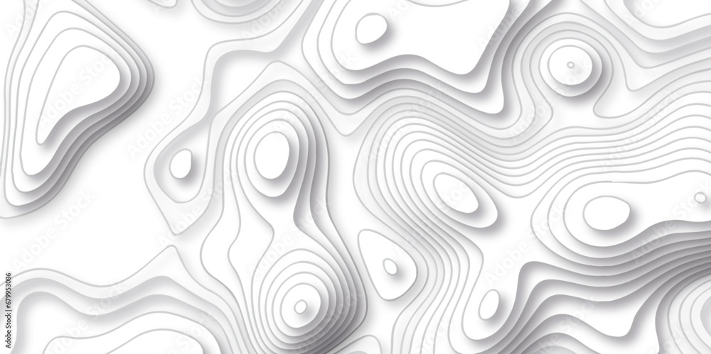 White Abstract Map Pattern Abstract pattern with lines. Abstract sea map geographic contour map ...