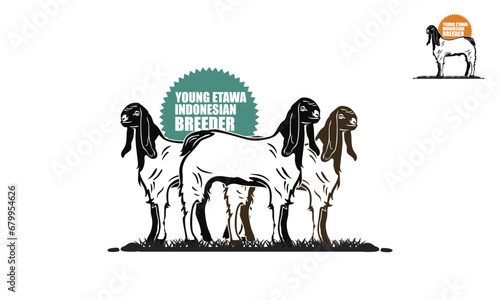 YOUNG ETAWA GOATS FROM INDONESIAN BREEDER LOGO, silhouette of great big ram standing vector illustrations