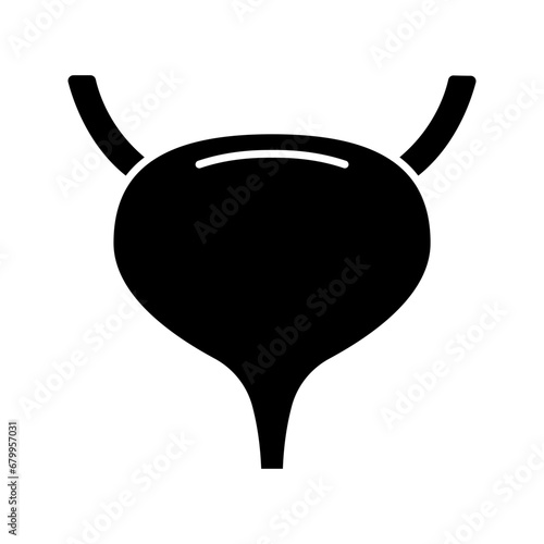 Bladder, human organ biology icon vector