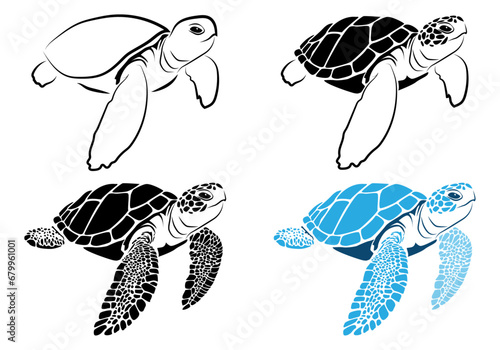 graphic sea turtle , vector illustration of sea turtle , vector of turtle design on a white background