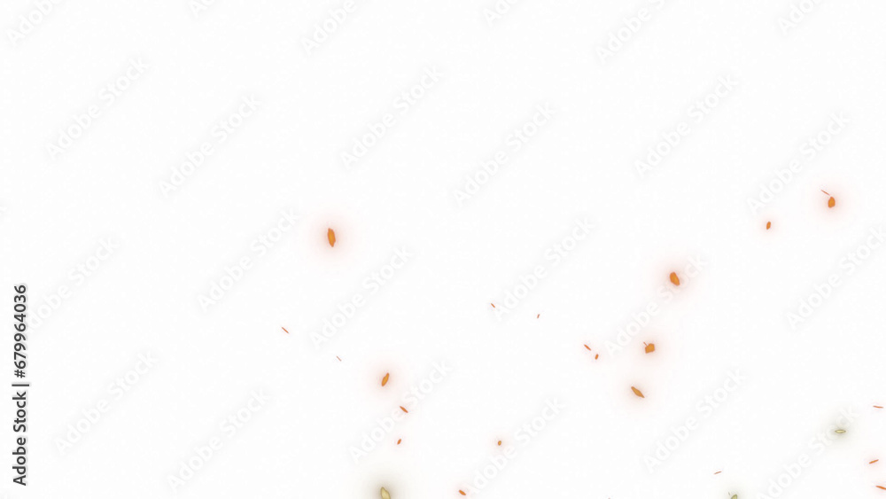 fire embers or spark particles with transparent background fire embers or spark particles with transparent background