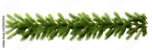 Christmas tree branch on whtie background