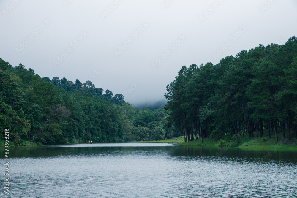 lake in the forest