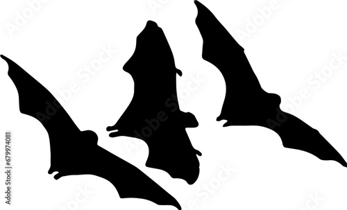 silhouette of a bat