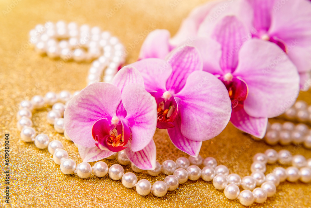 purple Orchid and pearl necklace on a shiny gold background
purple Orchid and pearl necklace on a shiny gold background