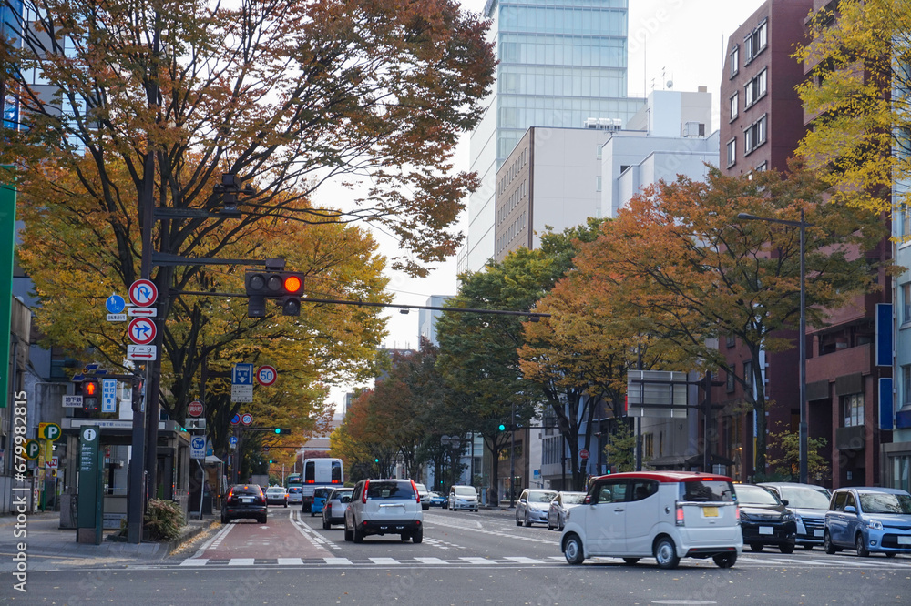 Sendai, Japan - November 9, 2016: Yellow ginkgo trees along both sides of Sendai streets in autumn with cars and buildings. Beautiful Sendai cityscape in November with ginkgo trees.