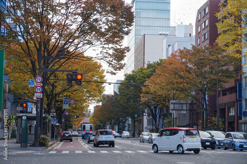 Sendai, Japan - November 9, 2016: Yellow ginkgo trees along both sides of Sendai streets in autumn with cars and buildings. Beautiful Sendai cityscape in November with ginkgo trees.