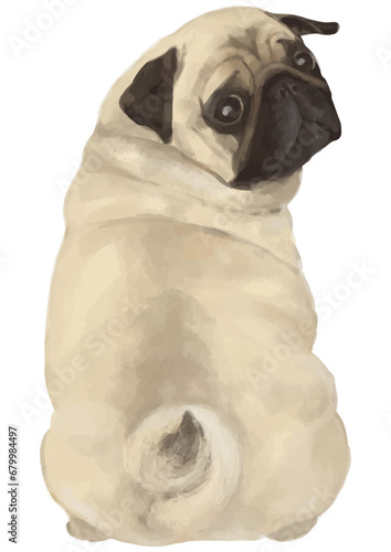 Illustration of a pug turning around